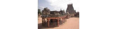 நாகை நீலதயாட்சி - தமிழ்நாடு